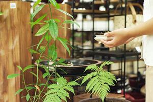 テクニックを駆使する浜松のリフォーム