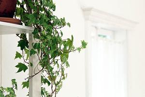 ナチュラル素材で作られた学習机を購入できる