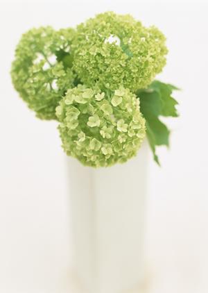 いろんなベッドが揃う便利なお店